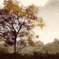 大林木命事业如何 专业投资不可盲目