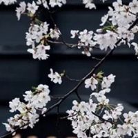 属蛇人在2022年5月幸运色为橘红色 本月吉祥数字是2和7