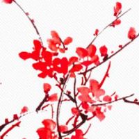 耳朵的面相和命运如何 双耳贴头家庭幸福