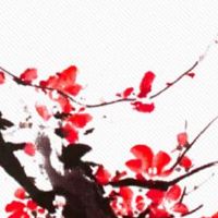 耳朵哪里长痣最好全图 耳朵上有痣有何说法