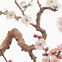 9个斗的女人有福气吗 女人九个斗旺夫相