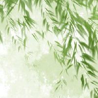 女人梦想的红色日期是一个梦想?