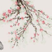 48岁1975年1975年出生的兔子男人的生命在运气的前半年好运