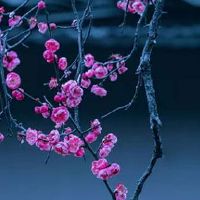 一定中彩票的横财纹 有上升线容易有横财进兜