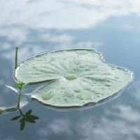 我在哪里可以在2022年享受好运?