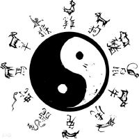 十二宫的运用决策旺衰的因素