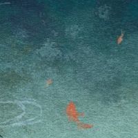 孩子在5月20日，2022年5月出生，强大和自我的生命是什么样的生活