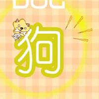 2006年,狗的男性生活2023年度维护细节