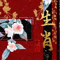 2023年不宜怀孕的生肖 不适合产子添丁属相