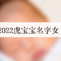 2022虎宝宝名字女