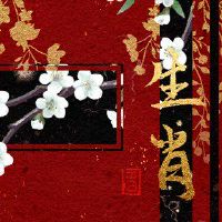 郑铮十二生肖博士详细解释4.25-5.1