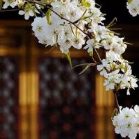 98年属虎女今年的婚姻如何 姻缘好坏需经营