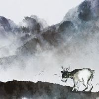 2022年绵羊最多的蛋白质颜色是什么?