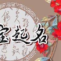 2022年的老虎年度年度