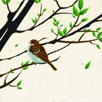 女儿12岁本命年送什么好 女孩子戴红书包走运