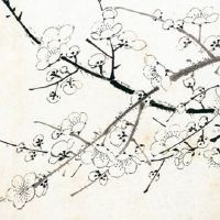 属虎的可以戴金虎吗 生肖虎戴猪形饰品提运消灾