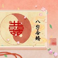 球员的生活,真爱,伤害,女性,活力,四次镜头