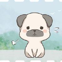 我不会忘记什么十二生肖狗和十二生肖猪