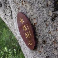 让爱情永甜美的风水