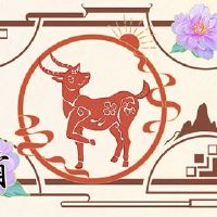 十二生肖的黄道带是2023年,现象,没有人,帮助桃花