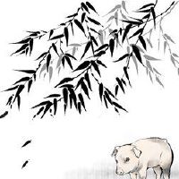 生命吉祥物银环在猪中，增加生活的重量