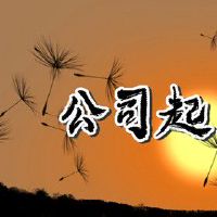 家电公司取名字参考大全 虎年吉祥公司名