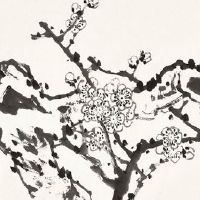 属虎带什么招财吉祥物 本命佛让属虎人逢凶化吉