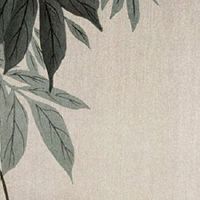 耳朵不对称民间说法 左右耳不一样大的说法