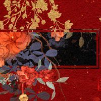 2022年5月19日第一乐章的第一乐章