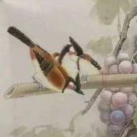 2022年新开生鲜蔬菜店名字推荐 顺口好记店铺起名