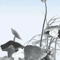 2022年5月3日时辰宜忌分析 这天日子好不好?