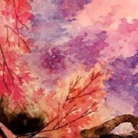 女人右手掌纹图解手相 从事业线不同起点看成就