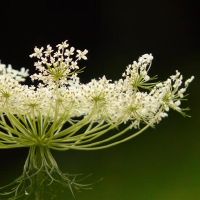 当真正爱上一个人时，这四个星座会发生什么？会变得温柔吗？