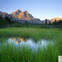 2022年5月属兔人运程及运势详细解析