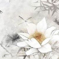 2022虎年6月份绿色可旺属羊人财运 本月幸运数字是9