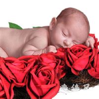 男宝宝取名字姓邹