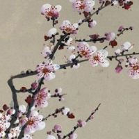 办公室个性名字新公司 办公室起高级大气的名