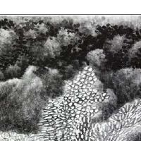 阴历三月初三上巳节出世的宝宝起名字是啥命？