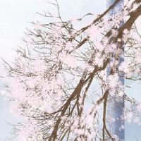 现代催妆礼都有什么 农村结婚催妆送什么礼