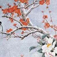 生肖兔的贵人是谁 贵人运好代表什么