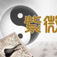 兄弟宫武曲旺是什么意思