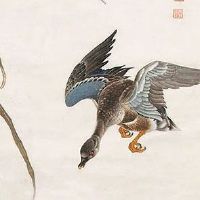 生肖兔一生的财运贵人 两大贵人助力财运发展