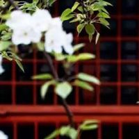 1989年属蛇人一生财运详解 生活富足财运顺遂