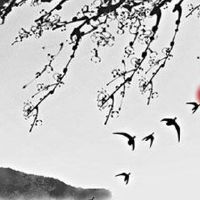 五行起名网免费取名2022公司名 顺口的企业取名大全