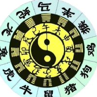 属蛇办公室怎样摆放