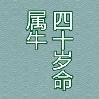 属羊1979年四十之后命能转大运吗