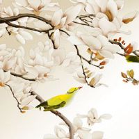 本命年来月经可以去参加葬礼吗 本命年参加葬礼讲究