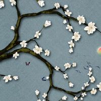 本命年怎样冲喜 参加喜事增福旺运