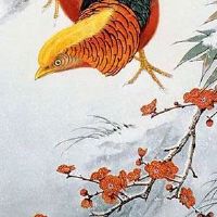 属兔几点出生财运最旺 出生时机很重要