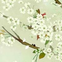 手机号码为什么不能带4 易经里4其实非常吉利
